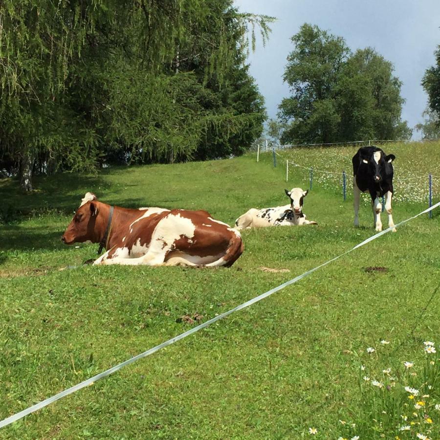 Willa Schneiderhof Seefeld w Tirolu Zewnętrze zdjęcie